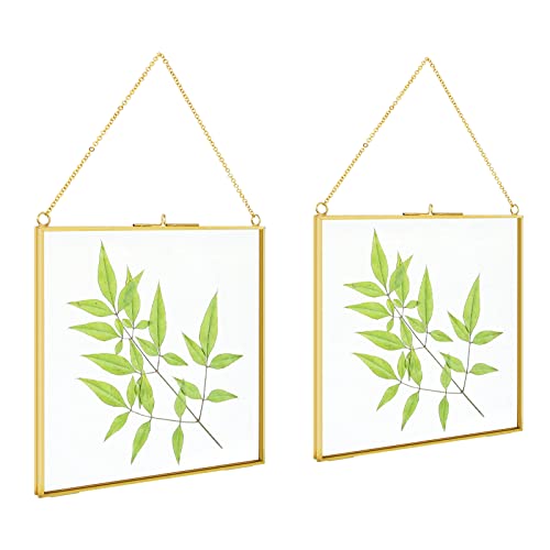 TLBTEK 2 PCS 6 inch Hanging Photo Frame, Double Glass