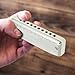10 hole Diatonic Harmonica, Deluxe Blues Harmonica, Stainless Steel Key for Children for Adult Beginners (White)