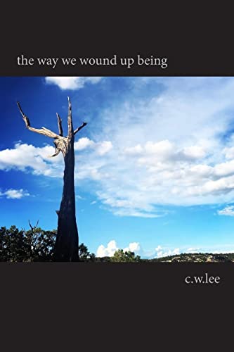the way we wound up being