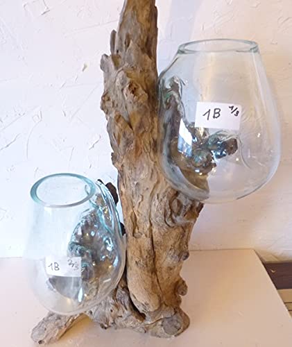 Double Vase ou Aquarium en Verre soufllé sur Racine de Bois, modèle Unique, Double Vase 15cmx2. Choix sur Photos ENVOYEES Suite A Votre Commande avec Les...