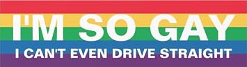 Im So Gay Sticker, Funny Car Sticker, Prank Car Bumper Decal - 6 inches