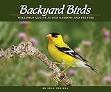 Backyard Birds: Welcomed Guests at Our Gardens and Feeders (Wildlife Appreciation)