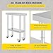 Heavy Duty Stainless Steel Work Table with Wheels - 24 x 12 x 32 Inch - Commercial Kitchen Restaurant Business