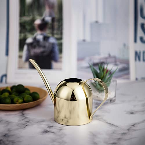 Imeea IMWC520 Gold Watering Can House Watering Can For Indoor Plants Orchid Bonsai Desk Office Stainless Steel Watering Can thumb #5