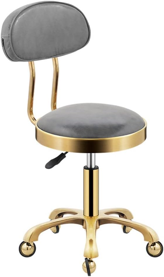 Swivel Chair Adjustable Rolling Stool With Back Rest, Comfortable Swivel Stool On Wheels, Heavy Duty Hydraulic Metal Stool With Sgs Rod For Salon, Massage, Bar, Office Adjustabl (C One Size)