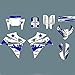 Team Grafik Vollständige Reihe von Grafikabziehbilder Kits Motorrad 3M Aufkleber für Yamaha XT660R XTR660 660XTR XT660 R Motocross Aufkleber (Color : As Shown)