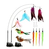 Jou Shen Katzenangel mit Federn und Saugnapf - Interaktives Katzenspielzeug und Katzenspielzeug Selbstbeschäftigung (14 PCS Feder/Vogel/Raupe)