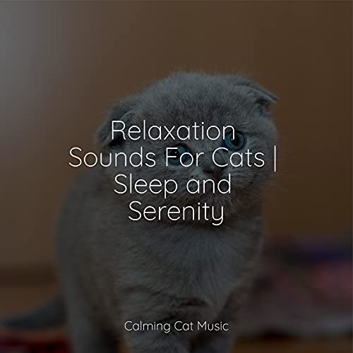 Snapshot of Relaxation Sounds For Cats