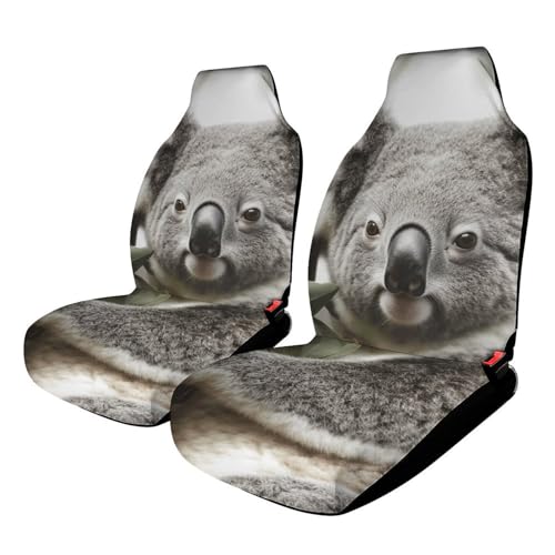 Housse de siège de voiture universelle confortable avec imprimé koala original