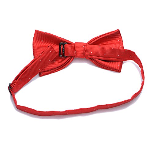 PenSee - Elegante set con papillon preannodato e