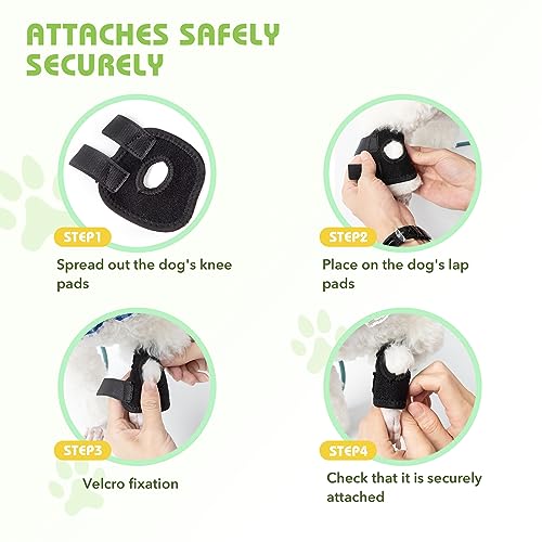 Image of Dog Leg Braces for Back Leg, Dog Knee Brace Compression Support for Dog Joints and Legs, for Injury and Sprain Protection, Wound Care and Lost of Arthrit Stability (Large)