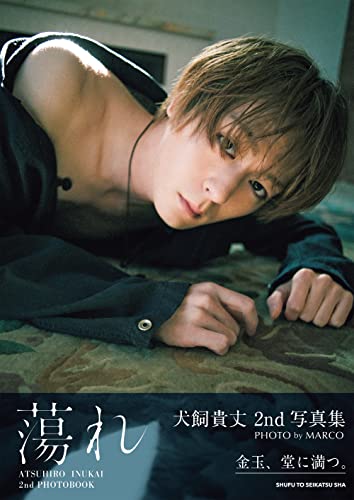 スタイルズ(STYLES) 犬飼貴丈 ファースト写真集 きせき | iuggu.ru