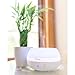 Crane Portable Ultrasonic Travel Humidifier & Aroma Diffuser – 0.2 Gallon Cool Mist, No Filter Required, Optional Essential Oil Tray, Whisper-Quiet for Babies, Travel, & Small Rooms (White)