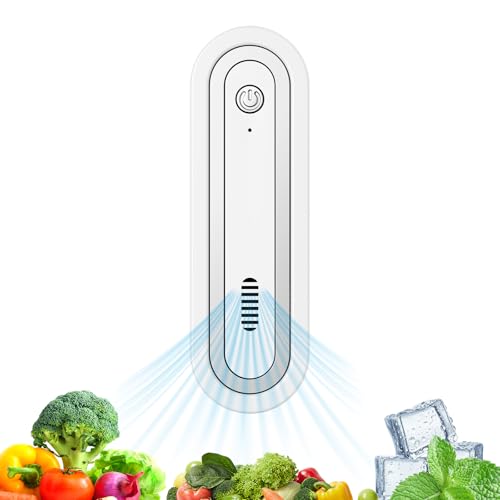 Fridge Deodorizer Rechargeable with Dual Modes & Compact Design for Refrigerator Car Shoe Cabinet to Eliminate Odors and Keep Air Fresh (Silver)