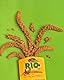 RIO Kolbenhirse Spray Millet | Doppelpack | 2 x 100 g | Ergänzungsfutter für Sittiche, Kanarien, Bronzemännchen und andere Arten von Heimvögeln | Ideal zum Spielen und Training