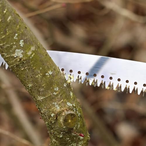 Image of Professional Tree Pruning Saw, Extendable Pole Saw with Curved Blade, Telescopic Handle for Garden Branch Cutting, Manual Tree Trimmer