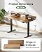 Marsail Electric Standing Desk with Drawers, 55″ x 28″ Height Adjustable Sit Stand Up Desk with Storage Shelf, Ergonomic Home Office & Computer Table with 4 Memory Heights, Rustic Brown