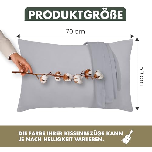 Terra Beds Kissenbezug 50x70 (Set mit 2) - 100% Baumwolle Jersey 160 g/m², Oeko-Tex Zertifiziert - Kopfkissenbezug für Kissen mit Reißverschluss, Weich und Atmungsaktiv - (Silber Grau)