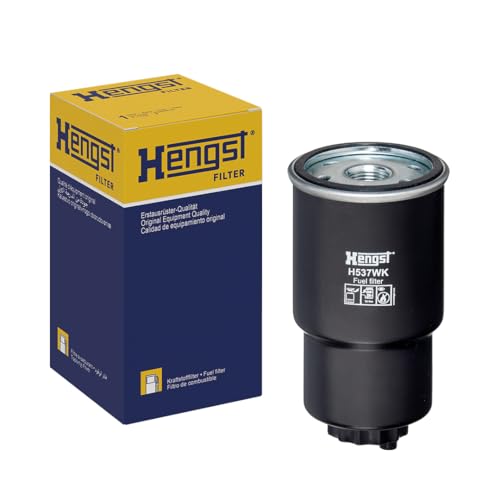 Hengst 2562200000 Filtre à carburant pour éviter les pannes d'injection