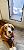 Wall Model | Cat & Dog Doors | Adjustable Tunnel Fits Up to 10" Wide Walls | Energy Efficient Double Vinyl Flaps | Locking Security Cover | Skilled Install Required | Steel Corners | Hale Pet Door