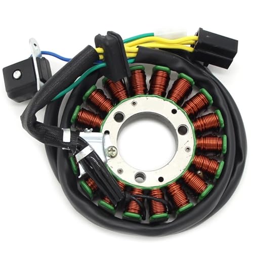Bobine stator d'allumage moto haute performance pour DR200SE 1996-2013