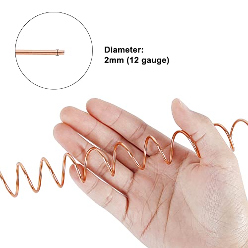 Tenn Well 12 Gauge Aluminum Wire, 100 Feet 2Mm Bendable Anodized Metal Wire For Sculpting, Jewelry Making, Armature Making, Wire Weaving, Plant Support, Crafting (Copper) #TOP2