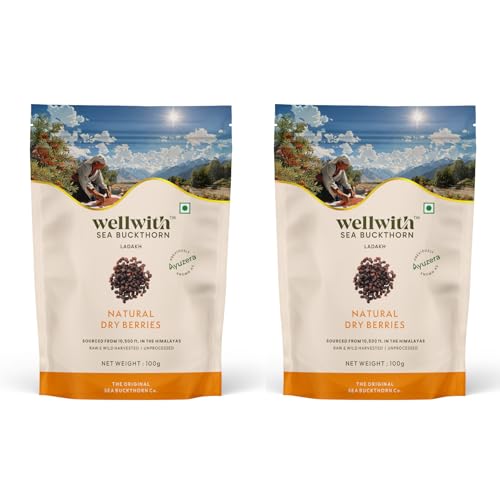 Image of Wellwith Sea buckthorn Dry Berry 100g (Pack of 2) - Natural, Sun-Dried, Rich in Omega 3,6,7 and 9, & Vitamin C, E | Dried Seabuckthorn Berries | No Added Sugar or Preservatives