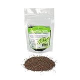 Organic Broccoli Sprouting Seeds - 4 Oz - Handy Pantry Brand - Edible Seed, Gardening, Hydroponics, Growing Salad Sprout & Food Storage- Brocolli Sprouts Contain Sulforaphane