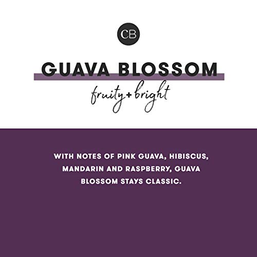 Capri Blue Mercury Jewel Box Candle - 4 Oz - Guava Blossom #TOP2