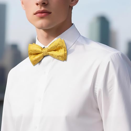 Image of YOHOWA Mens Bow Tie Set Paisley Pre-tied Bowties Adjustable with Handkerchief Cufflinks Gold Ring Set Wedding Prom Party