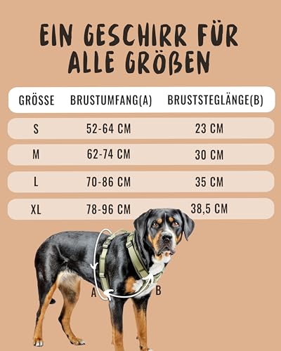 Rudelkönig Hundegeschirr Bella - Gepolstertes Brustgeschirr mit Haltegriff - Geschirr in Y-Design - Verstellbares Hundegeschirr kleine Hunde und mittelgroße Hunde