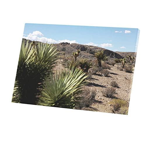 Poster agave désert États-Unis tableau décoration murale 60x40