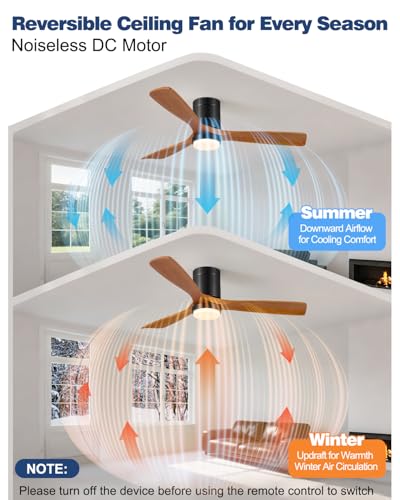 Image of 52 Inch Ceiling Fans with Lights and Remote, 3 Blade Low Profile