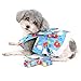 Ranphy Floral Print Dog Clothes for Small Dogs Girl Dog Dress Harness and Leash Set Puppy Cute Bow Skirt Pet Outfits with D-Ring Cat Puppy Apparel, Light Blue, L