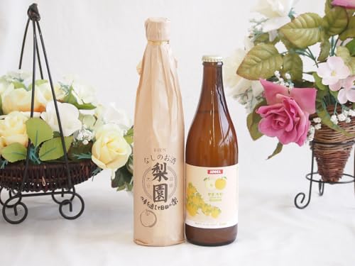 ̉ʏ`Ղ2{Zbg(AT[G[ zCg5x(t) 12x(啪)) 500ml×2{