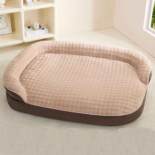 pxbhAӂӂ̃vbVybgxbhALpxbhAp\t@xbhAO\Ő􂦂Jo[Ɗ~ߒtA^^ALpAuEAXXL