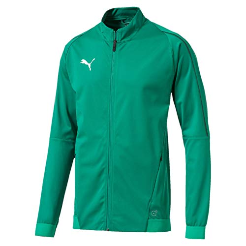Preisvergleich Produktbild Puma Herren FINAL Training Jacket Trainingsjacke, Pepper Green Black, L