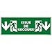 Panneau - Issue de Secours Vers le Bas - Plastique rigide PVC 1,5 mm - Dimensions 210 x 75 mm - Double Face Autocollant au Dos - Protection Anti-UV