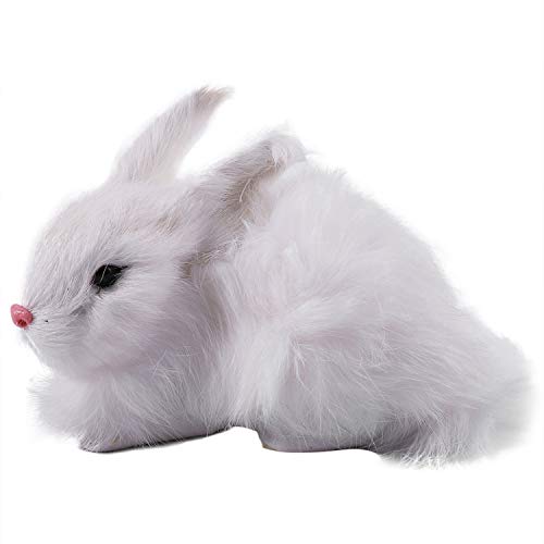 Bunggou 15Z` ~j^ AȂ킢ʂ݃ETM є̐Ƃ C[X^[̃ETM V~[VETM̂̃f ãv[giFj