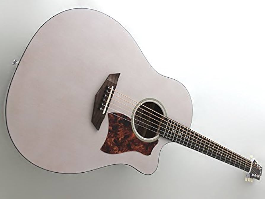 Amazon | FGN (Fujigen フジゲン 富士弦) AG1-TWF Acoustic