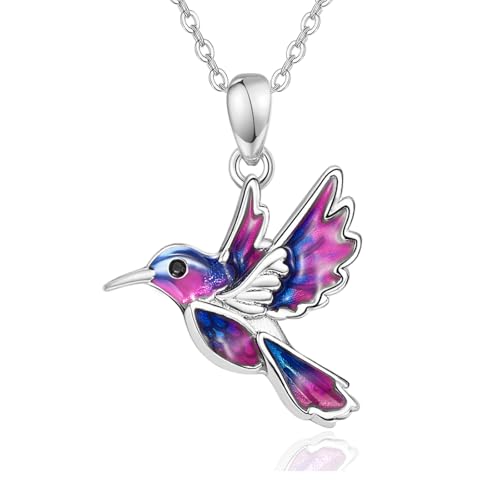 Dreamboat Hummingbird Bird Pendant Necklace for Women 925 Sterling Silver Jewelry Gifts for Hummingbirds Lovers