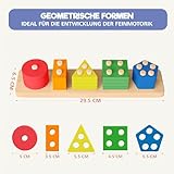 Sweety Fox Montessori Spielzeug ab 1 Jahr - Holz Sortier & Stapelspielzeug, 1 2 3 Jahre -Aktivitäts & Entwicklungsspielzeug aus Holz - Montessori - Lernspielzeug für Kleinkinder