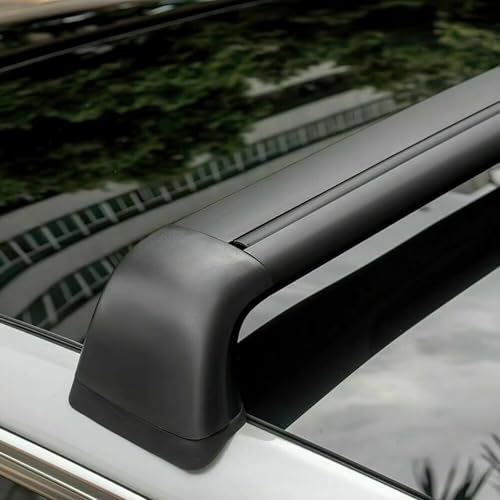 Embout de porte-bagages pour toit Tesla Model 3 remplace cache perdu - 6