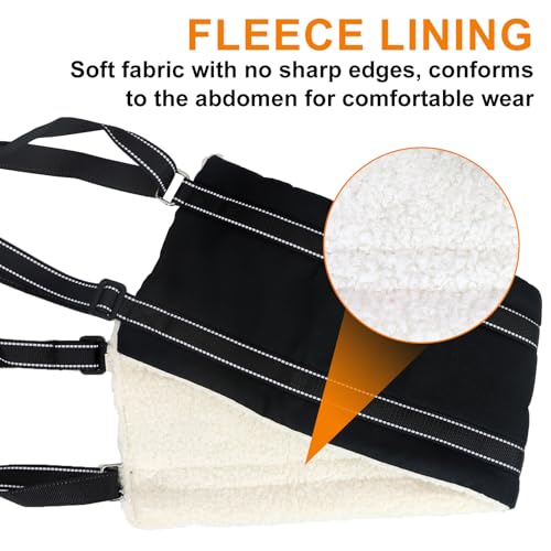 lenpestia Adjustable Dog Lift Harness Dog Sling Portable Dog Sling for Back Legs Harness for Senior,Injured,Disabled Dogs After ACL Surgery (S) by lenpestia - Image 3