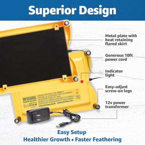 Brinsea Ecoglow Safety 600 Brooder Plate for up to 20 Chicks - Energy Efficient 12 Watt Heat Plate for Ducklings and Poultry - Adjustable Low Voltage Design