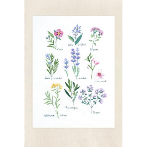 DMC   Herbario por Nathalie Weinzaepflen, nivel avanzado, kit de punto de cruz