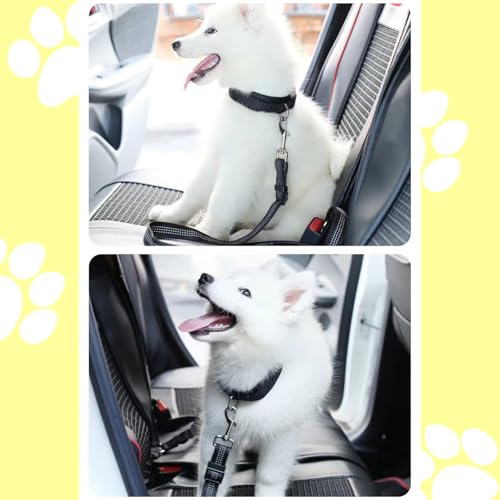 VBGURR Anschnallgurt Hund Auto, Elastischer Doppelköpfig Hundegurt Auto, Einstellbar Hunde Anschnallgurt Auto(Schwarz)