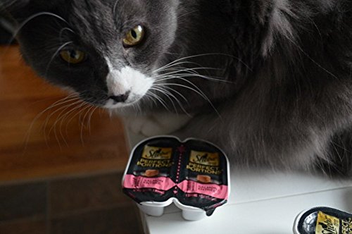 Sheba Perfect Portions Multipack Salmon and Whitefish & Tuna Entrée Wet Cat Food Corn Soy Wheat Free (12 Twin Packs), 1.98 Pounds - image 3