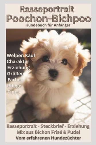 Süßer Teddy: Poochon / Bichpoo ( Bichon Frisé & Pudel Mix ) - Alle Informationen zum Welpenkauf für Anfänger und Locken-Liebhaber: Hundebuch für ... werden, Größen, Futter, Charakter, Toy