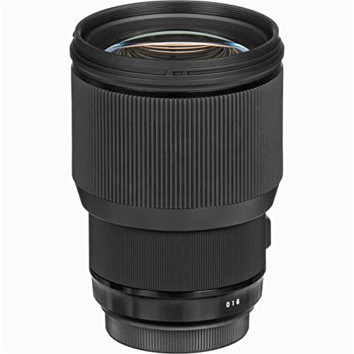 Sigma 24-70mm f/2.8 lens